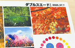 ダブルスエード