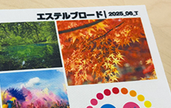 エステルブロード